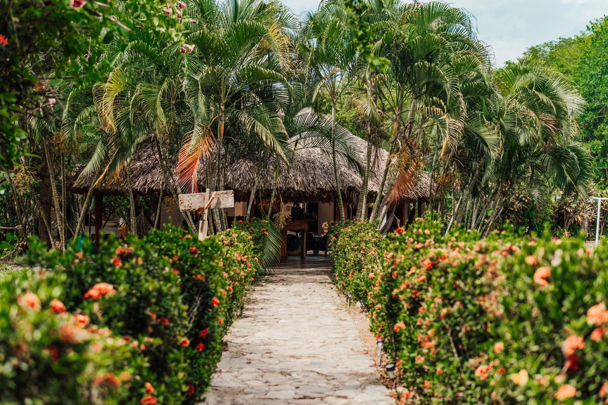 Jaba Jan Hostal Palomino Ngoại thất bức ảnh