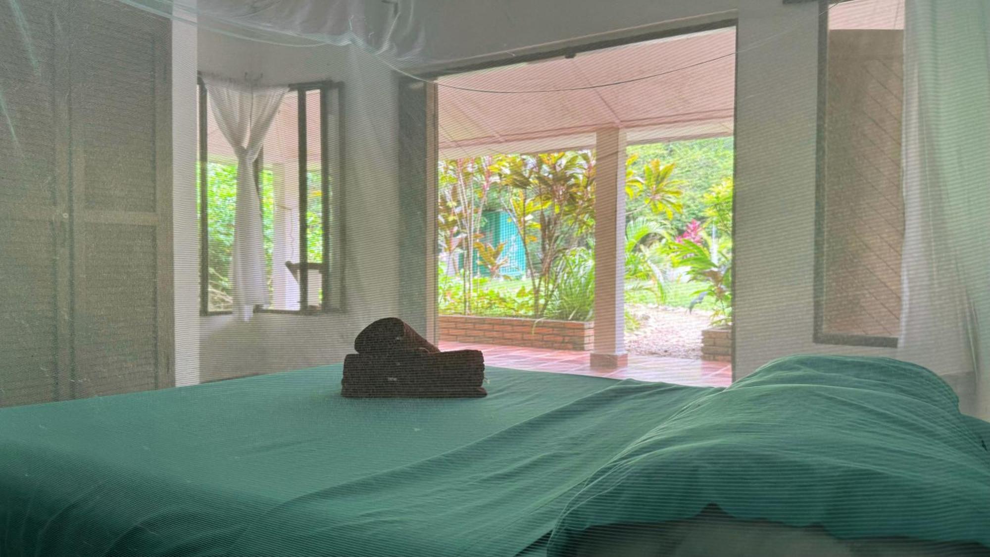 Jaba Jan Hostal Palomino Ngoại thất bức ảnh